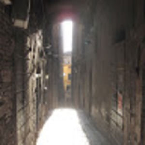 Meet your Posher, Bailey